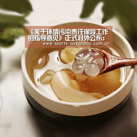 《关于环境污染责任保险工作的指导意见》正式对外公布:爱游戏平台(图1) 爱游戏app