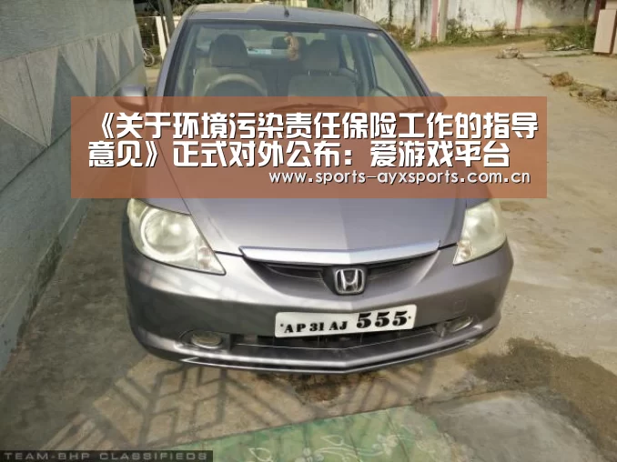 《关于环境污染责任保险工作的指导意见》正式对外公布:爱游戏平台(图2) 爱游戏体育直播