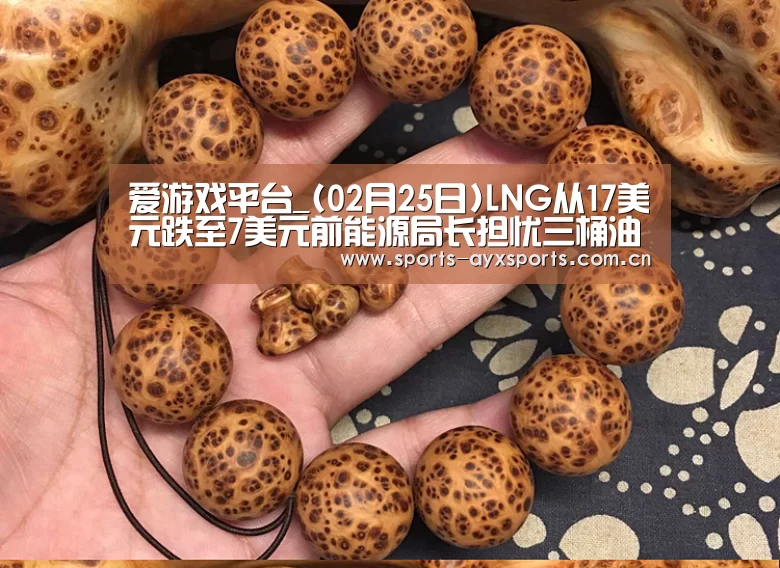 爱游戏平台_(02月25日)LNG从17美元跌至7美元前能源局长担忧三桶油(图2) 爱游戏平台