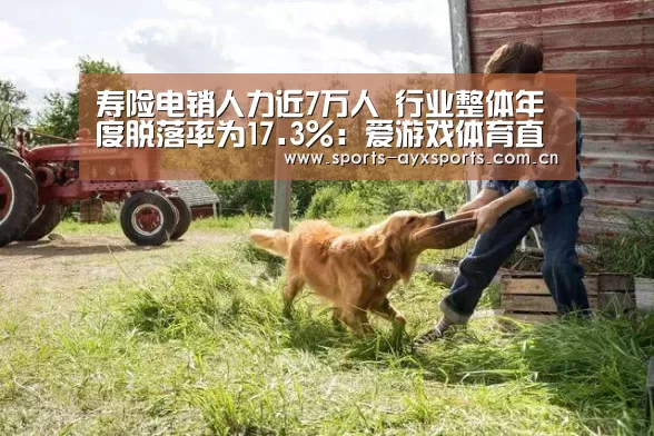 爱游戏体育直播