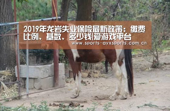 爱游戏官网