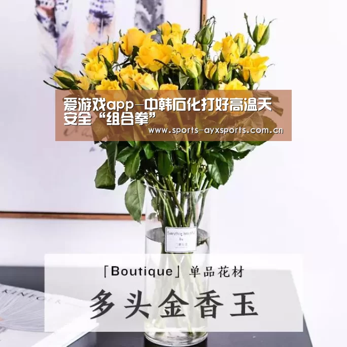 爱游戏app-中韩石化打好高温天安全“组合拳”(图1) 爱游戏体育直播