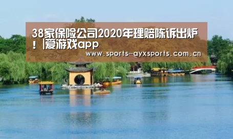 38家保险公司2020年理赔陈诉出炉!|爱游戏app(图1) 爱游戏官网