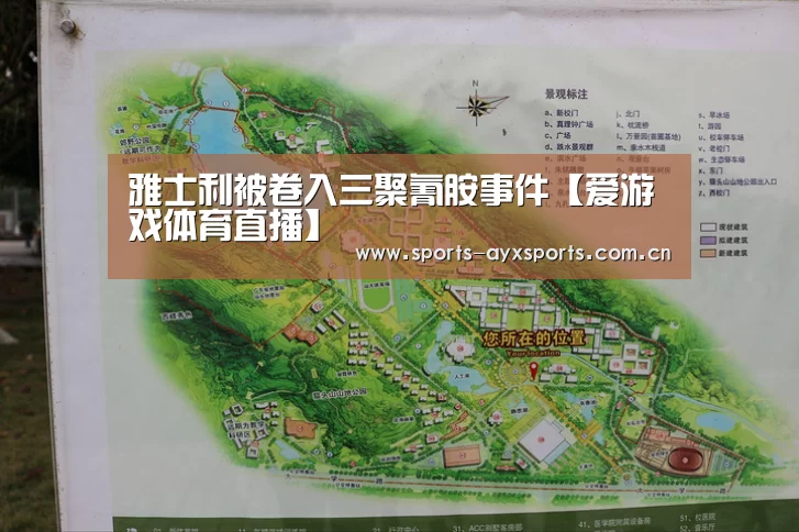 雅士利被卷入三聚氰胺事件【爱游戏体育直播】(图1) 爱游戏体育直播