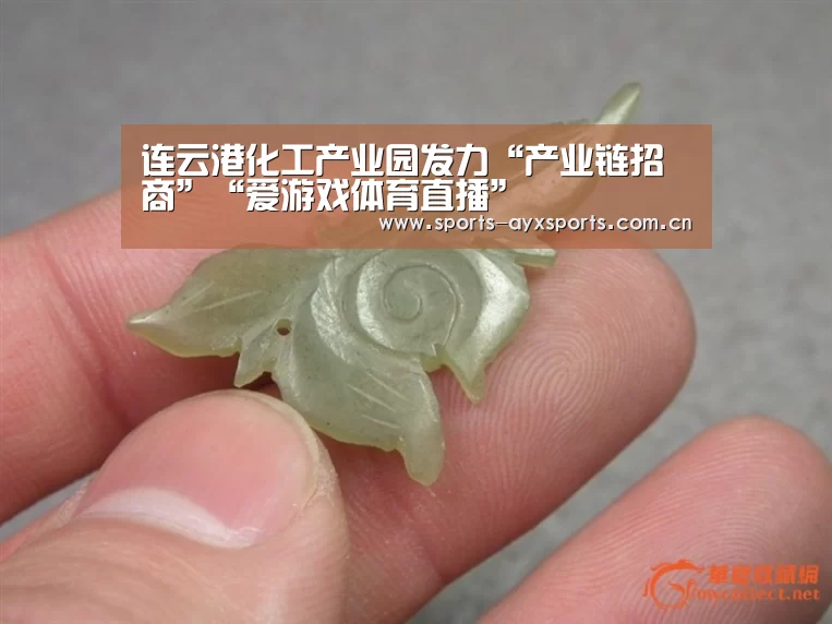 爱游戏官网