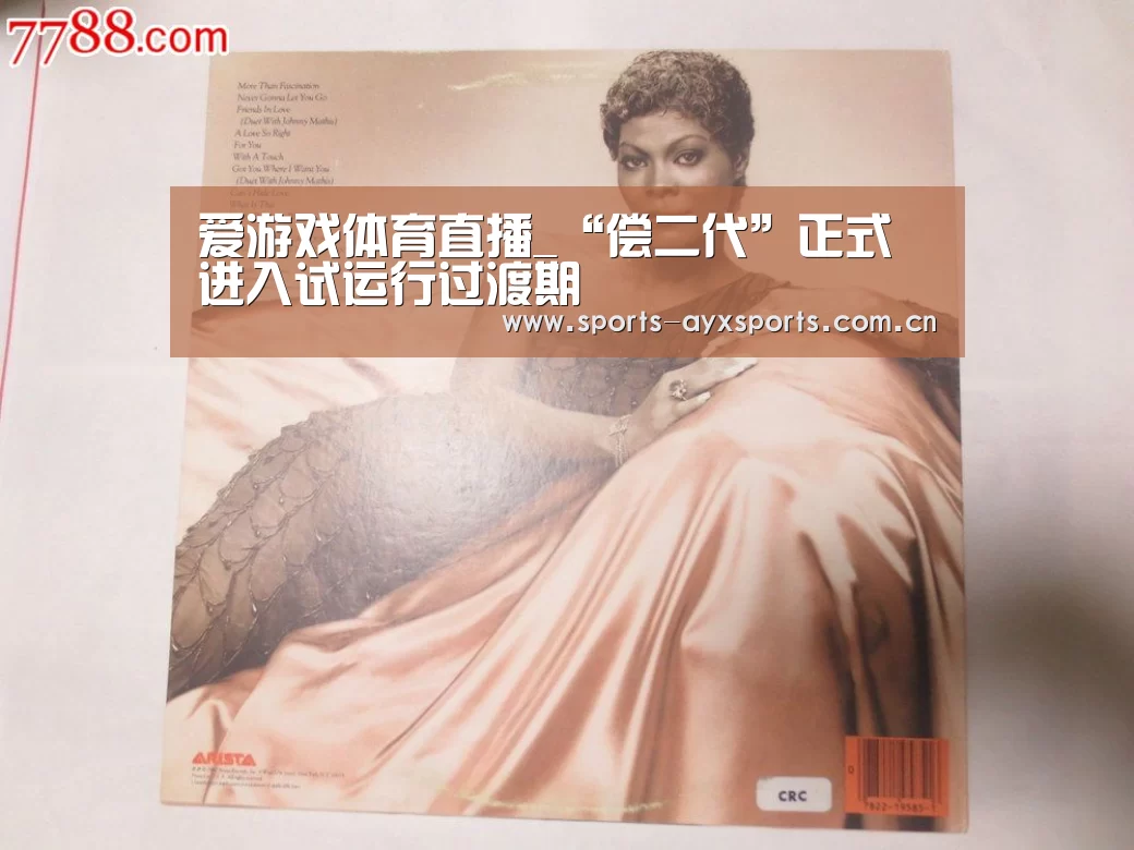 爱游戏体育直播_“偿二代”正式进入试运行过渡期(图3) 爱游戏体育直播