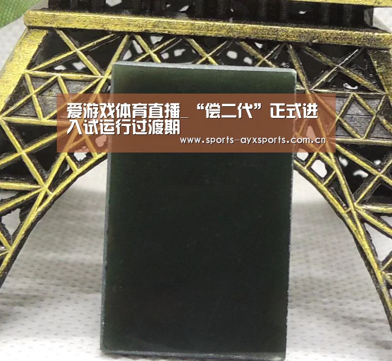 爱游戏体育直播_“偿二代”正式进入试运行过渡期(图4) 爱游戏体育直播
